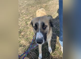 Große Odette sucht ihr eigenes Zuhause