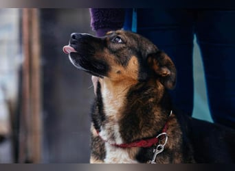 Amira möchte endlich ein liebevolles Zuhause