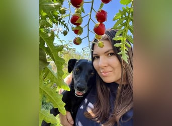 Wunderschöne Mai sucht ihre Familie