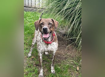 Stella hat schon viel dazu gelernt, wer gibt ihr ein Zuhause?