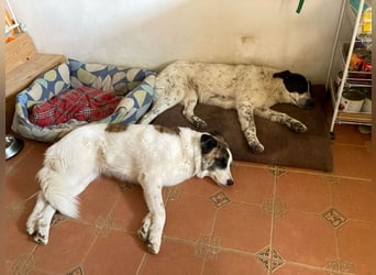 Große Monnie sucht passendes Körbchen