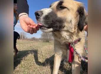 Große Odette sucht ihr eigenes Zuhause