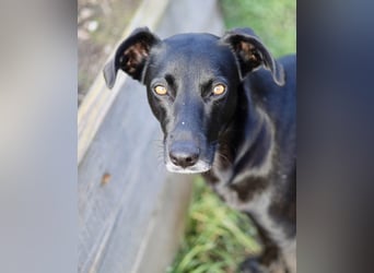 Wunderschöne Mai sucht ihre Familie