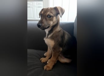 Goldige Burita will eine eigene Familie