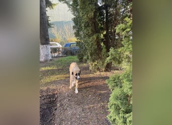 Große Odette sucht ihr eigenes Zuhause