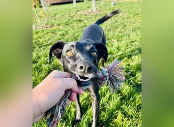 Wunderschöne Mai sucht ihre Familie