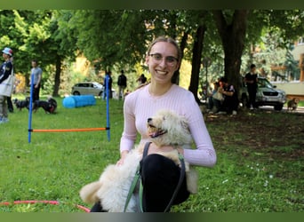 Zuckersüße Radya sucht ihr Zuhause