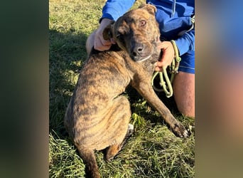 Alfónzo Zulu hat schon viel Schlimmes in seinem jungen Leben erlebt !