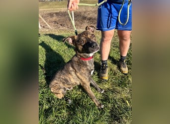 Alfónzo Zulu hat schon viel Schlimmes in seinem jungen Leben erlebt !