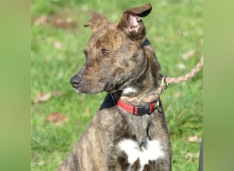 Alfónzo Zulu hat schon viel Schlimmes in seinem jungen Leben erlebt !