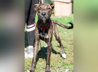 Alfónzo Zulu hat schon viel Schlimmes in seinem jungen Leben erlebt !