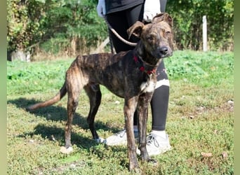 Alfónzo Zulu hat schon viel Schlimmes in seinem jungen Leben erlebt !