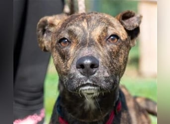 Alfónzo Zulu hat schon viel Schlimmes in seinem jungen Leben erlebt !