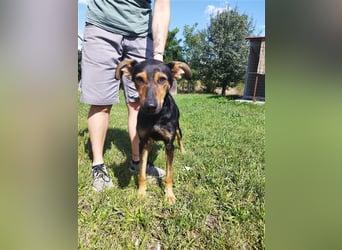 Kifli hat in ihrem jungen Leben nicht viel Gutes erleben dürfen und möchte jetzt endlich geli