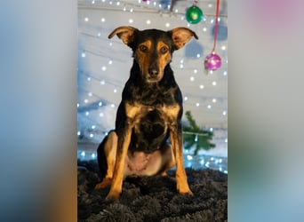 Kifli hat in ihrem jungen Leben nicht viel Gutes erleben dürfen und möchte jetzt endlich geli