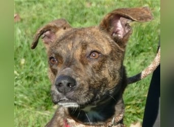 Alfónzo Zulu hat schon viel Schlimmes in seinem jungen Leben erlebt !