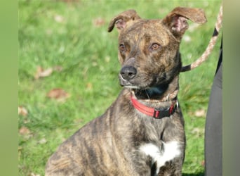 Alfónzo Zulu hat schon viel Schlimmes in seinem jungen Leben erlebt !