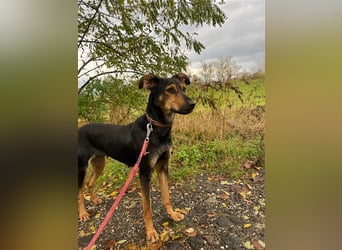 Kifli hat in ihrem jungen Leben nicht viel Gutes erleben dürfen und möchte jetzt endlich geli