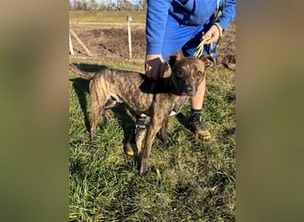 Alfónzo Zulu hat schon viel Schlimmes in seinem jungen Leben erlebt !