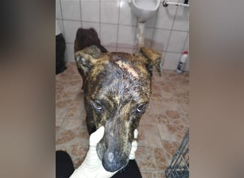 Alfónzo Zulu hat schon viel Schlimmes in seinem jungen Leben erlebt !