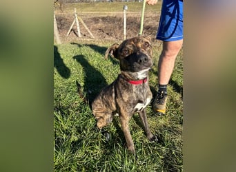 Alfónzo Zulu hat schon viel Schlimmes in seinem jungen Leben erlebt !