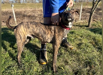 Alfónzo Zulu hat schon viel Schlimmes in seinem jungen Leben erlebt !