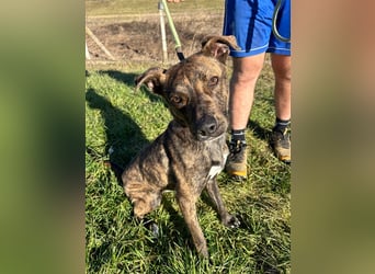 Alfónzo Zulu hat schon viel Schlimmes in seinem jungen Leben erlebt !