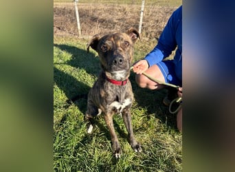 Alfónzo Zulu hat schon viel Schlimmes in seinem jungen Leben erlebt !