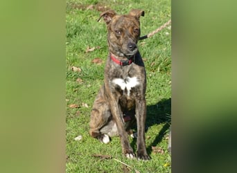 Alfónzo Zulu hat schon viel Schlimmes in seinem jungen Leben erlebt !