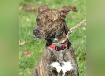 Alfónzo Zulu hat schon viel Schlimmes in seinem jungen Leben erlebt !