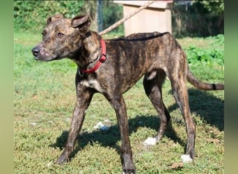 Alfónzo Zulu hat schon viel Schlimmes in seinem jungen Leben erlebt !