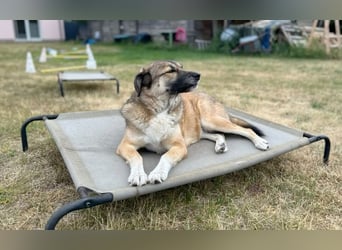 Rosy wünscht sich eine eigene Familie
