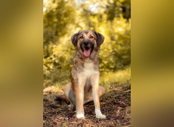 Rosy wünscht sich eine eigene Familie