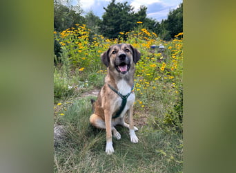 Rosy wünscht sich eine eigene Familie