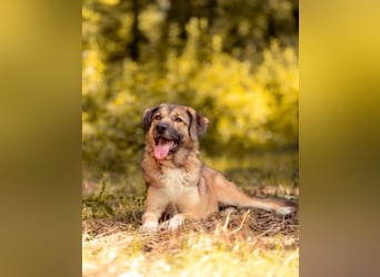 Rosy wünscht sich eine eigene Familie