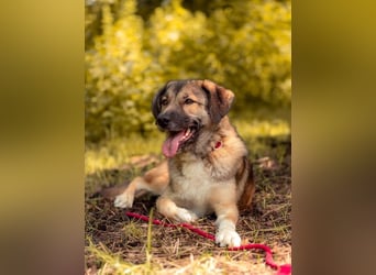 Rosy wünscht sich eine eigene Familie