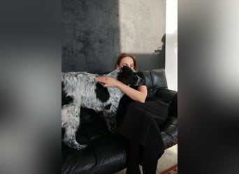 Verschmuster Janko sucht seine Familie