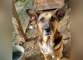 JÜRGEN - menschenbezogener Senior sucht liebevolles Zuhause