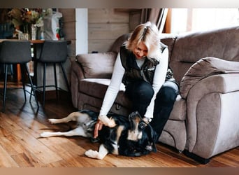 Unkomplizierte Prada sucht ihre Menschen