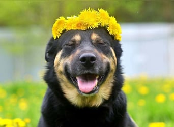 Unkomplizierte Prada sucht ihre Menschen