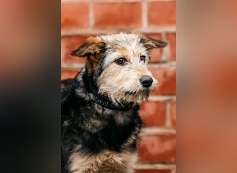 Sonnenschein Gina sucht ihre Familie