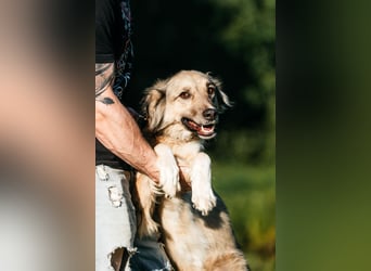 Schüchterner Yannick sucht seine Familie