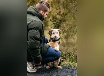 Sonnenschein Gina sucht ihre Familie