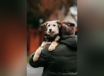 Sonnenschein Gina sucht ihre Familie