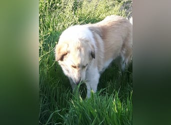 Samantha will gerettet werden