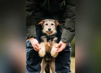 Sonnenschein Gina sucht ihre Familie