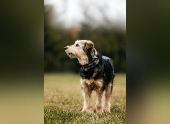 Sonnenschein Gina sucht ihre Familie