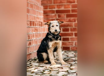 Sonnenschein Gina sucht ihre Familie