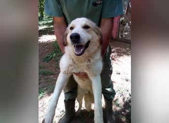 Samantha will gerettet werden