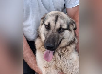 Hera ist bereit für ein neues Leben